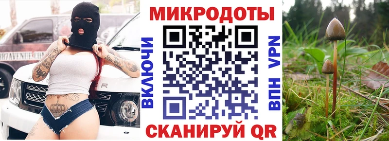 Псилоцибиновые грибы Psilocybe  Юрюзань 
